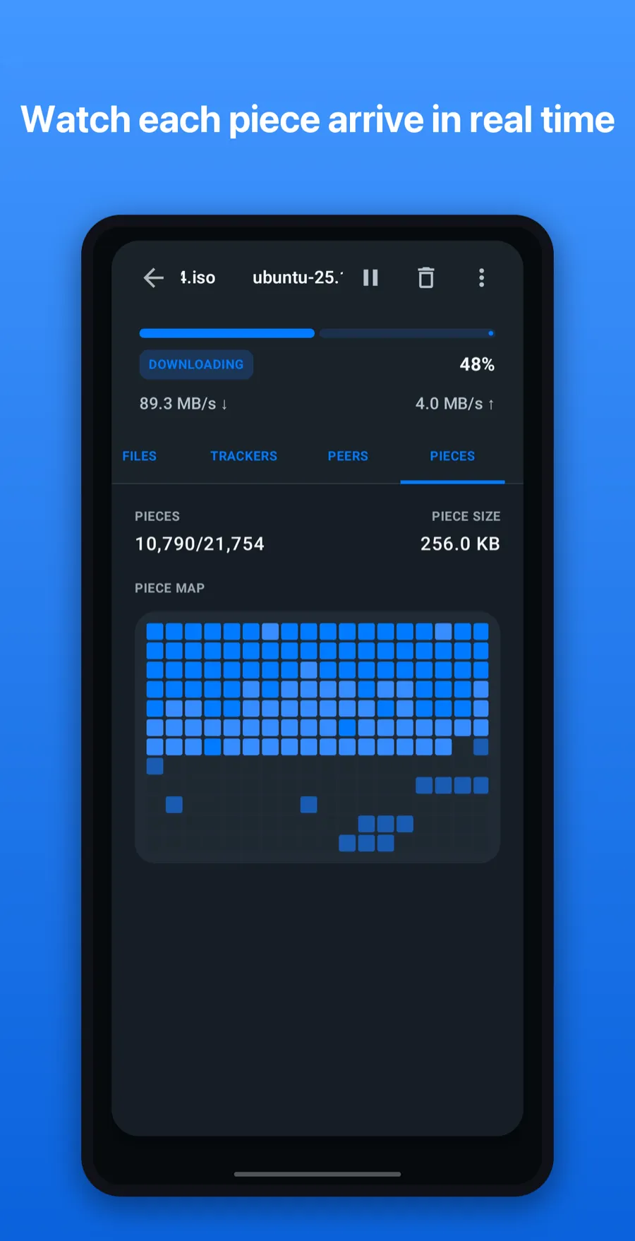 Torrq's piece map view showing a grid of blue squares representing downloaded pieces, with 10,790 of 21,754 pieces complete at 256 KB each.